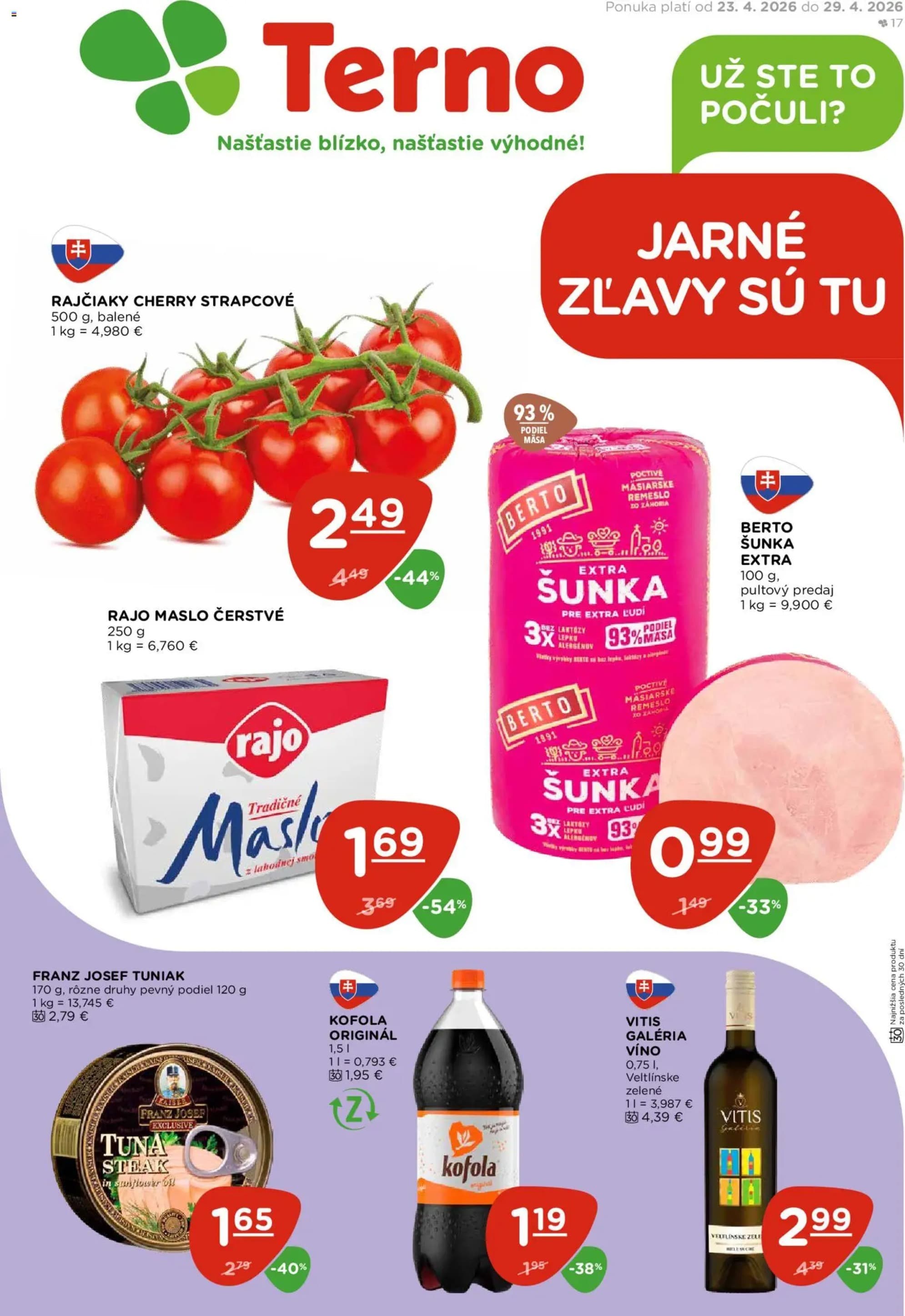 Terno leták – strana 1